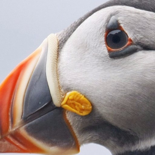 la_nr_nolwenn's profile picture. Journaliste NR