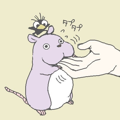 三色の猫さんのプロフィール画像