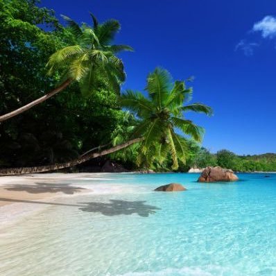 Rima7306Lady's profile picture. 