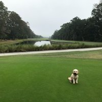Thomas R Fuller (@trfuller2) 's Twitter Profile