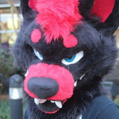 thatredpuppysAD's profile picture. 🧡 25/gamer/fursuiter/murrsuiter/genderfluid-(he/him,she/her)/

a very kinky pup, Telegram: Ask me,Demi-Bi, Submissive Switch

 Vrchat:Dracer 🧡