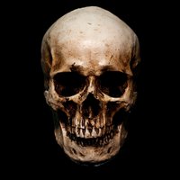 William Blackwell (@wblackwell333) 's Twitter Profile Photo William Blackwell (@wblackwell333) 's Twitter Profile Photo