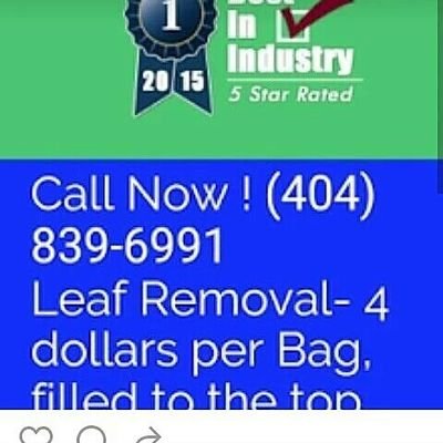 brightandearlyy's profile picture. 