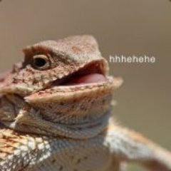 Samspudz_Gaming's profile picture. Just a ginger who loves gaming and entertaining