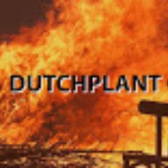 👑 Dutchplant