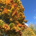 Bedford Cohousing Project (@bedcohousing) Twitter profile photo Bedford Cohousing Project (@bedcohousing) Twitter profile photo