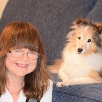 Kristin Kaldahl(@Sheltiebeast) 's Twitter Profile Photo