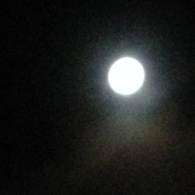Kindle65073918's profile picture. 新潟の会社員です。