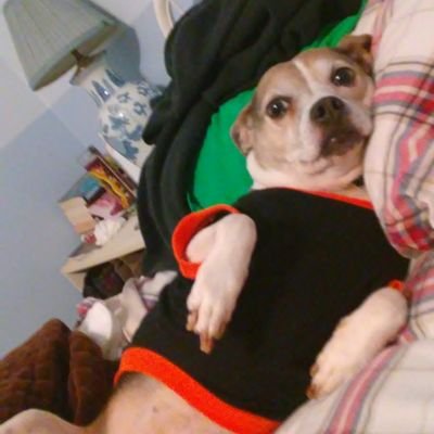 LindsayLucas27's profile picture. 