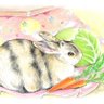 casademiel3104's profile picture. もぐ しましま模様のミニウサギ ♂ 2019.9.11に13歳10ヶ月でお月様に帰りました。三毛うさ同盟月支部会員 お月様うさぎ友の会 アイコンはベリーさん作 2代目こもぐ 2020.5.13生 ミニウサギ♂三毛うさ同盟地球支部会員