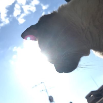 Teppeiさんのプロフィール画像