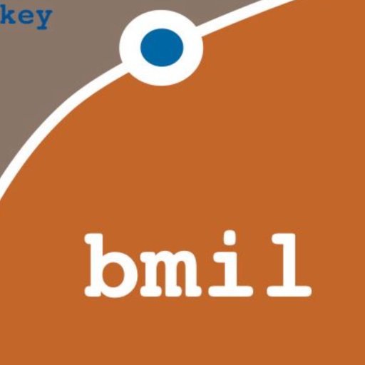 The Biomedical Informatics Lab (BMIL) is not active on this platform as of December 2023. Please follow on LinkedIn at https://t.co/cUpn619IYw