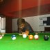 Vishnu reddy (@vishnuteja09) Twitter profile photo Vishnu reddy (@vishnuteja09) Twitter profile photo