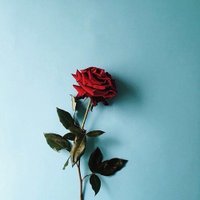 Midnight thoughts (@midnightbetter) 's Twitter Profile