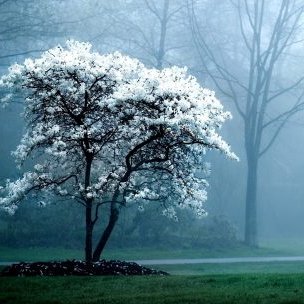 howmeto01a1's profile picture. 멋진 곳이 너무 많아~~^.^ #선팔맞팔kr #맞팔환영 #맞팔100%