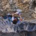 Peter Dawson (@petedawsonclimb) Twitter profile photo Peter Dawson (@petedawsonclimb) Twitter profile photo