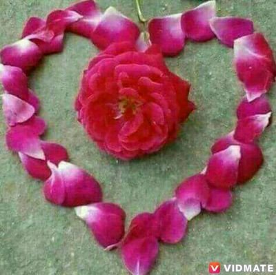 91_9832272446's profile picture. 