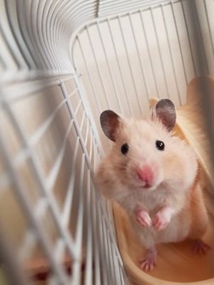 Malika43980251's profile picture. 