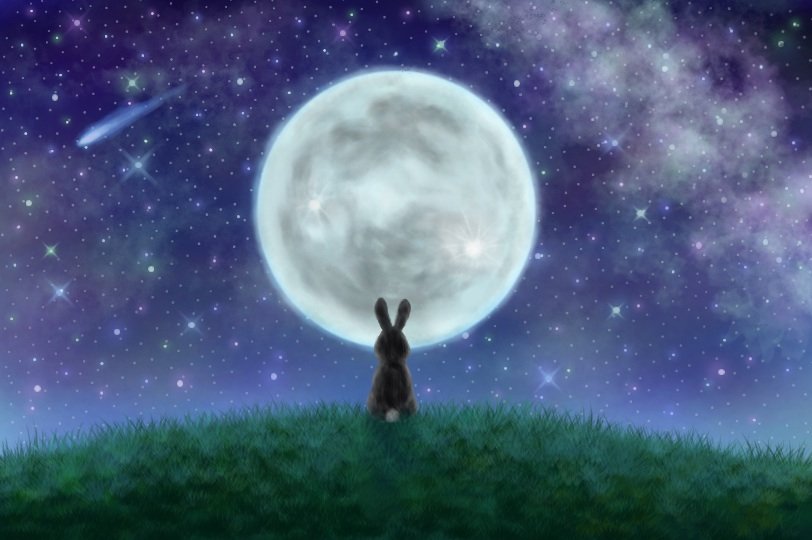 ふりかけさんのプロフィール画像