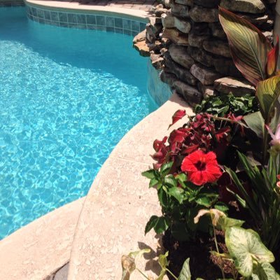 daisybrookhomes's profile picture. 