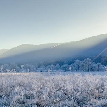 swildow's profile picture. fixing networks one byte at a time