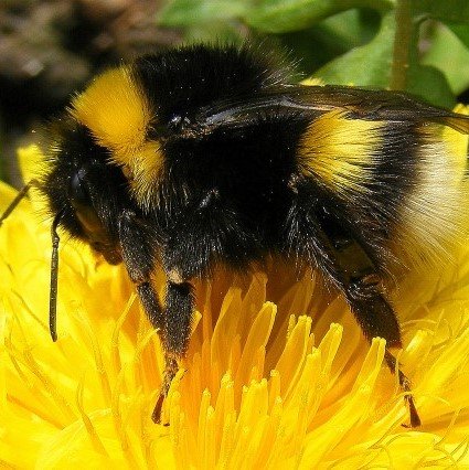 naughtyjurand's profile picture. 