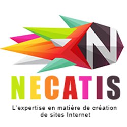 Je suis Sylvain GARCIA, gérant de l'agence Web Necatis à Montélimar.  I'm Sylvain GARCIA, Necatis Web Agency manager, located at Montélimar in France