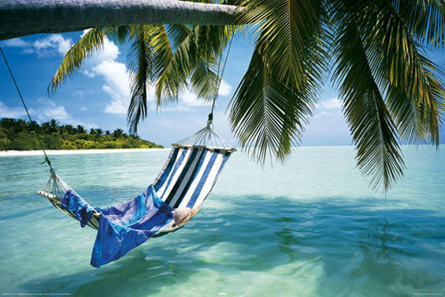 airchairstand's profile picture. 