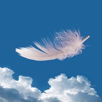 Richard Lerat (@richardlerat) 's Twitter Profile