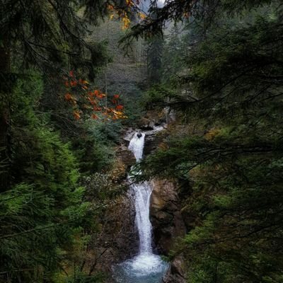 Economy1002's profile picture. 