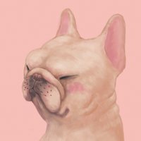 Magger (@maggerbulldog) 's Twitter Profile