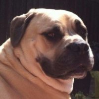 WAGGY 66 (@whu4eva) 's Twitter Profile Photo