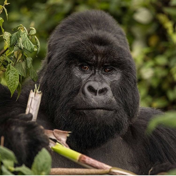 Rcpkarahan's profile picture. 