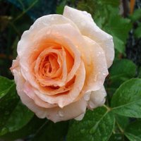 BelénP (@bepasan) 's Twitter Profile Photo