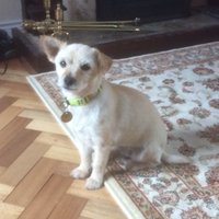 LukeMc Sorley (@lukemcsorley) 's Twitter Profile Photo