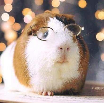 matiasf37645063's profile picture. 