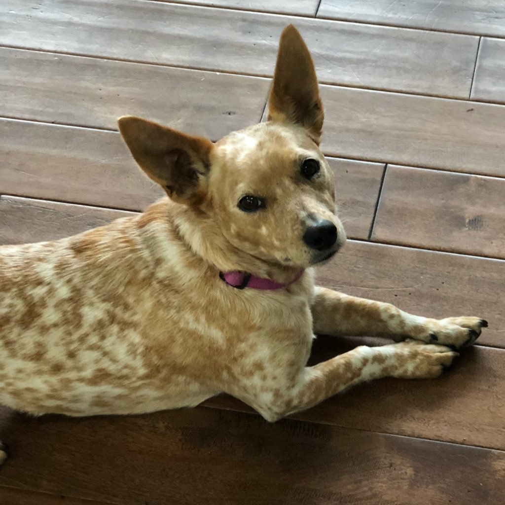 Southrnst8ofmom's profile picture. 