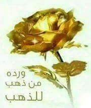 2wkpLeFAdHAAvez's profile picture. 