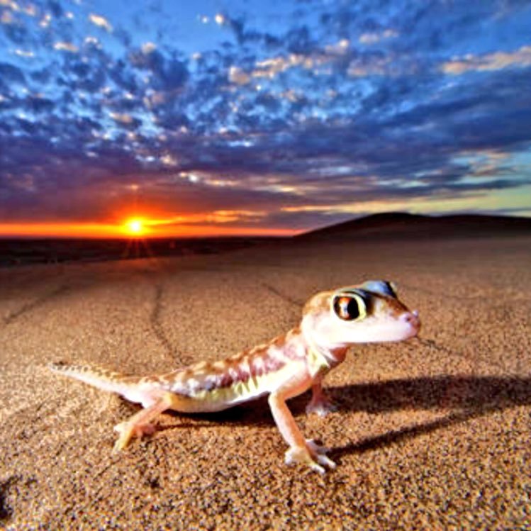 algee420's profile picture. I like.