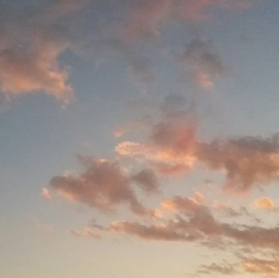 mmabdn's profile picture. 