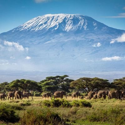 Book With Us For
⚫ Travel Agency
⚫Culture & Museum Tour's
⚫Wildlife Safaris
⚫Climbing Mountain | Welcome Tanzania To See Mt. Kilimanjaro