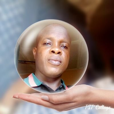 alarapebello's profile picture. 