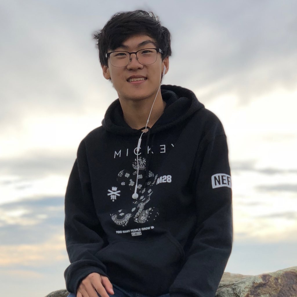 thefakestasian's profile picture. Aspiring Wangster™