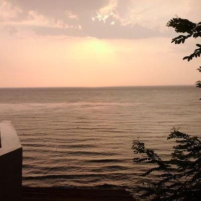 mikyta5's profile picture. 