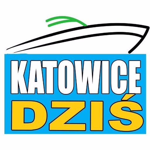 katowicedzis Profile Picture