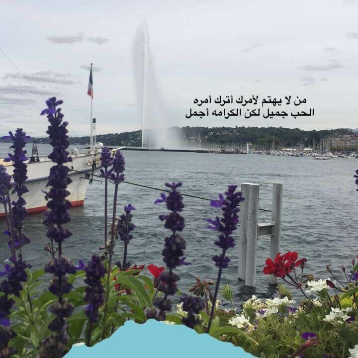 XSuntop's profile picture. الخطوة تتبع الخاطر