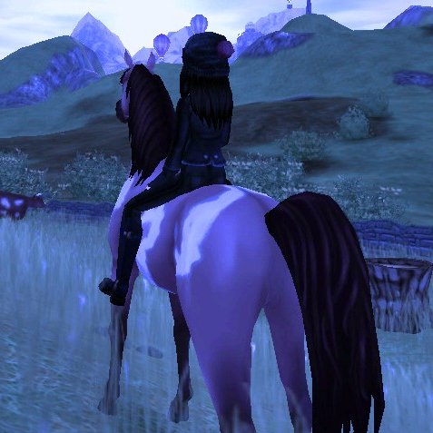 Hi, so welcome to my profile, South is my nickname on Star Stable Online
Star stable username: Brooke Southknight
Server On SSO: Night Star