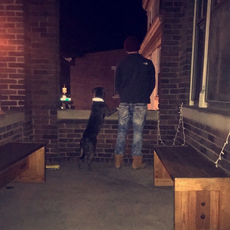 Boilermaker  97 k1500   American bully life