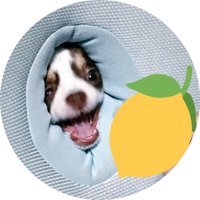 栃木県産のれもん🍋 (@boc__0202) 's Twitter Profile Photo 栃木県産のれもん🍋 (@boc__0202) 's Twitter Profile Photo
