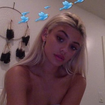 wolvesalright's profile picture. 